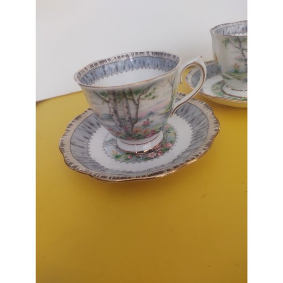 Two Vintage Royal Albert Silver Birch pattern Cup & Saucer Sets - Picture 11 of 15